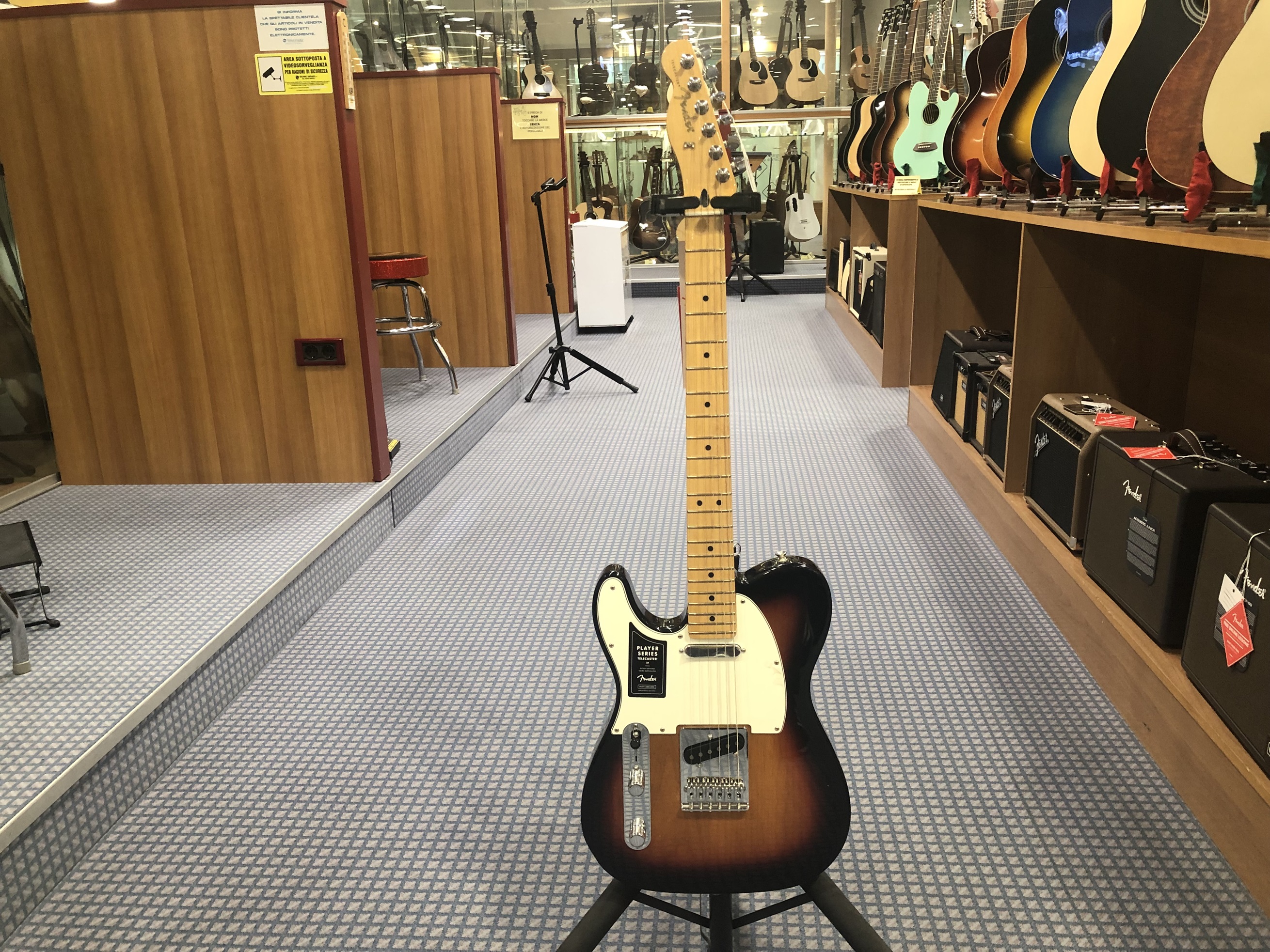 Fender PLAYER TELE LH MN 3TS - Strumenti Musicali Marino Baldacci