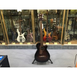 Ibanez AEGB24FEMHS