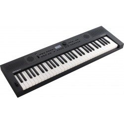 Roland GOKEYS5-GT 