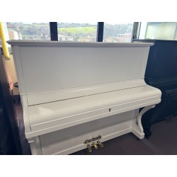 Roshenta Pianoforte verticale Bianco satinato usato