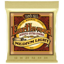 Ernie Ball Kit Pz. 4 2003 Earthwood 80/20